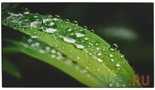 Тонкошовная ЖК панель Dahua [DHI-LS550UDH-UG]