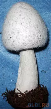 Украшение Winter Wings Гриб 15 см 1 шт белый полимер N069762