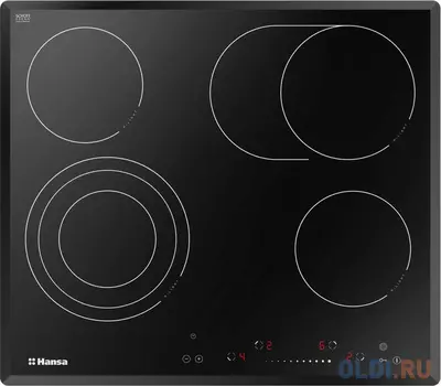 Варочная панель электрическая Hansa BHC66906 черный