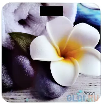 Весы напольные ECON ECO-BS004, электронные, вес до 180 кг, термометр, квадратные, стекло, с рисунком