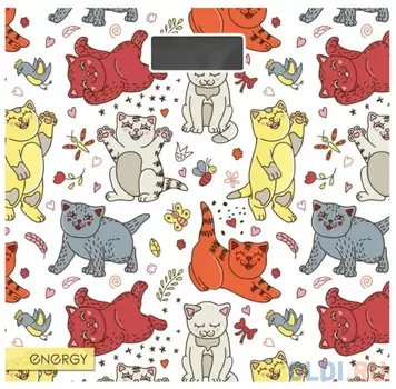 ВЕСЫ НАПОЛЬНЫЕ ЭЛЕКТРОННЫЕ "ENERGY" EN-419B (1/6)