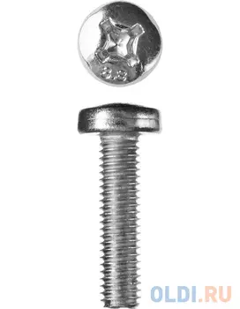 Винт DIN 7985, M6 x 25 мм, 5 кг, кл. пр. 4.8, оцинкованный, ЗУБР