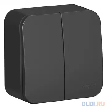 Выключатель SCHNEIDER ELECTRIC BLNVA105016 Blanca 2-кл. оп сх.5 10А 250В изол. пласт. антрацит