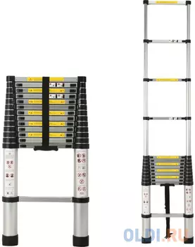 WORKY Лестница телескопическая 4,8 м, 14 ступеней, ARD128092