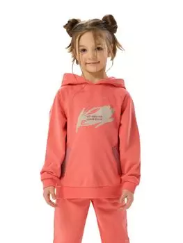 Джемпер (худи) с капюшоном детск. Майз