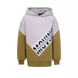 Джемпер (худи) с капюшоном для мальчков "Мэт"