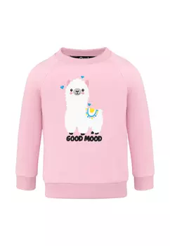 Джемпер (Толстовка) для девочки "Минзи"