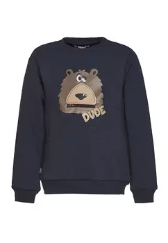 Джемпер (Толстовка) для мальчика "Авила"