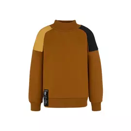 Джемпер (толстовка) для мальчика "Джон"