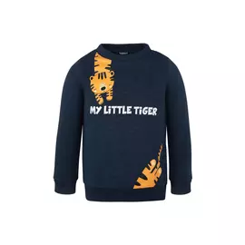 Джемпер (Толстовка) для мальчика "Тео"