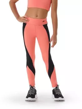 Лосины (легинсы) д/дев. Янга