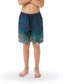 Шорты купальные д/мал. Мик