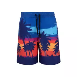 Шорты купальные для мальчика "Данди"