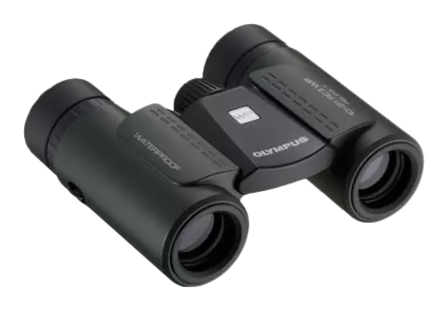 Бинокль Olympus 10x21 RC II WP (V501014DE000)
