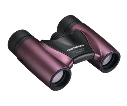 Бинокль Olympus 8x21 RC II Metal Magenta (N3852492)