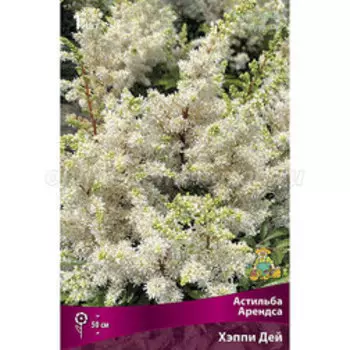 Астильба Арендса Хэппи Дей (С1,5)