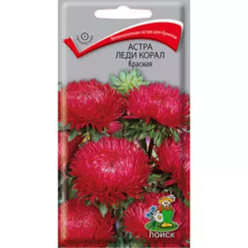 Астра Леди Корал Красная