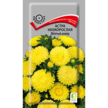 Астра низкорослая Жёлтый ковёр