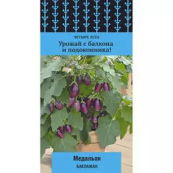 Баклажан Медальон (Четыре лета)
