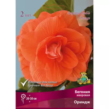 Бегония Махровая Ориндж (2шт)