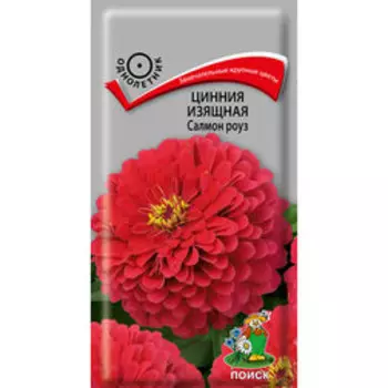 Цинния изящная Салмон роуз