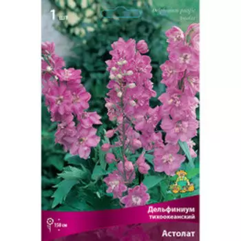 Дельфиниум тихоокеанский Астолат