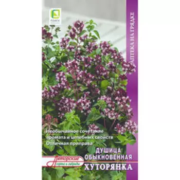 Душица обыкновенная Хуторянка