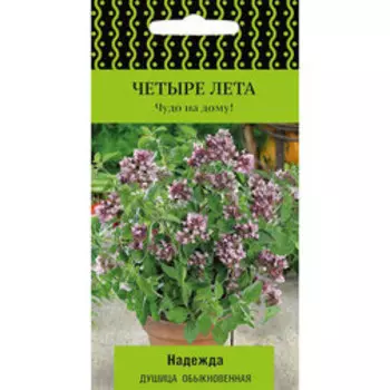 Душица обыкновенная (Орегано) Надежда (Четыре лета)