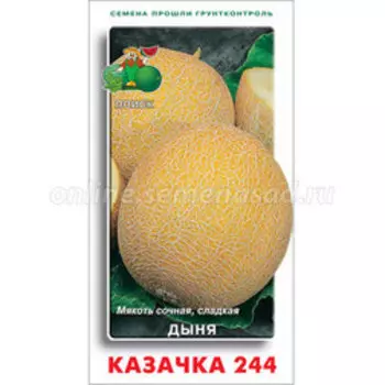 Дыня Казачка 244