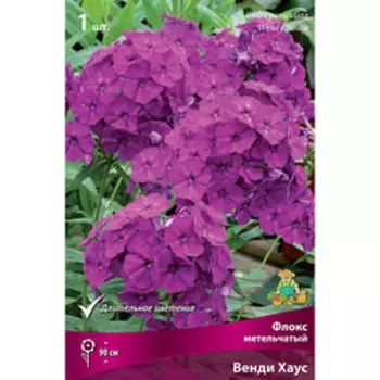 Флокс метельчатый Венди Хаус