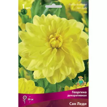 Георгина декоративная Сан Леди (1 шт.)