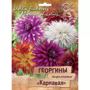 Георгины бахромчатые Карнавал (3шт)