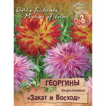 Георгины бахромчатые Закат и Восход (2шт)