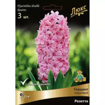 Гиацинт Махровый Розетта* (3 шт.)