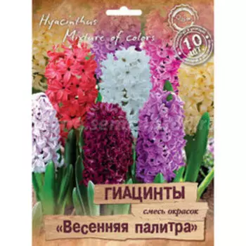 Гиацинты Весенняя палитра смесь окрасок (10 шт.)