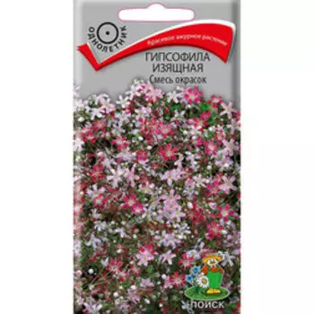 Гипсофила изящная Смесь окрасок