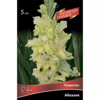 Гладиолус Абхазия (5шт)