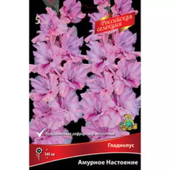 Гладиолус Амурное Настроение (5шт)