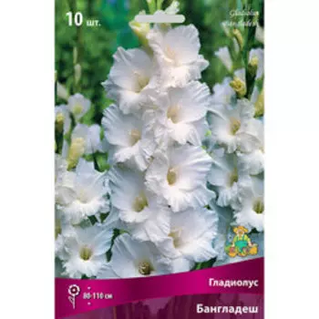 Гладиолус Бангладеш (10шт)