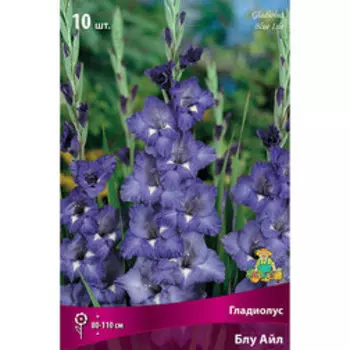 Гладиолус Блу Айл (10шт)