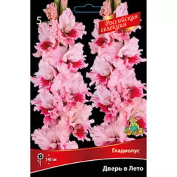 Гладиолус Дверь в Лето (5шт)
