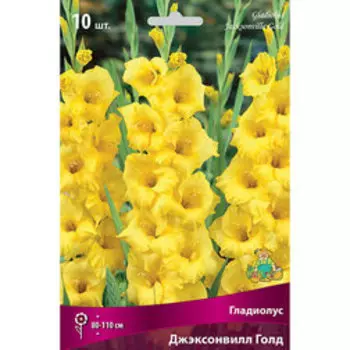 Гладиолус Джэксонвилл Голд