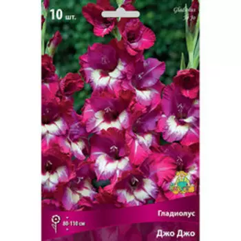 Гладиолус Джо Джо (10шт)
