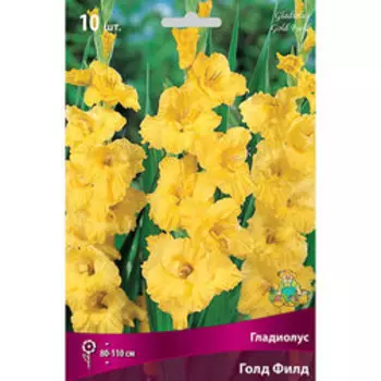 Гладиолус Голд Филд