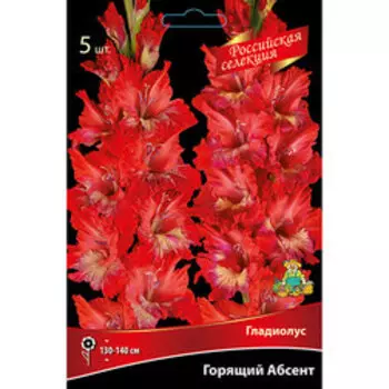 Гладиолус Горящий Абсент (5шт)