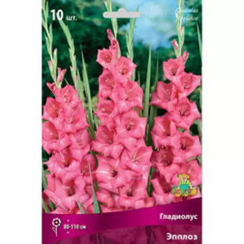 Гладиолус Эпплоз