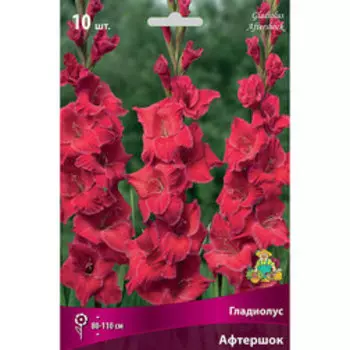 Гладиолус крупноцветковый Афтершок (10шт)