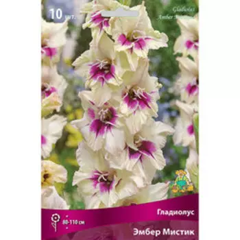 Гладиолус крупноцветковый Эмбер Мистик (10шт)