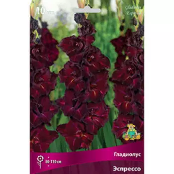 Гладиолус крупноцветковый Эспрессо (10 шт.)