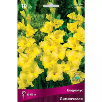 Гладиолус крупноцветковый Лимончелло (10 шт.)
